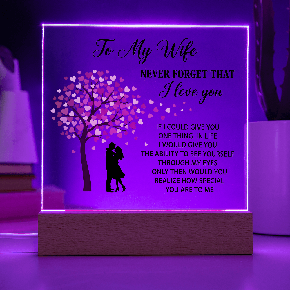 To My Wife LED Acrylic Plaque Romantic Gift