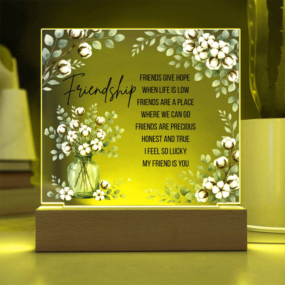 Friendship Gives Hope – Square Acrylic Plaque with LED Base