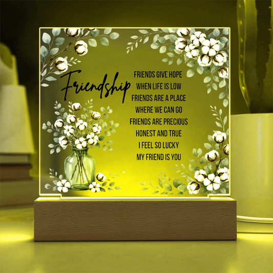 Best Friend Night Light Acrylic Plaque Friendship Gift