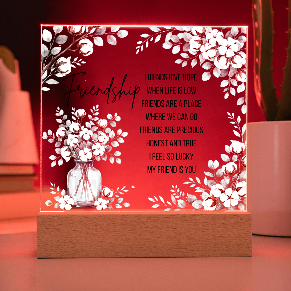 Friendship Gives Hope – Square Acrylic Plaque with LED Base